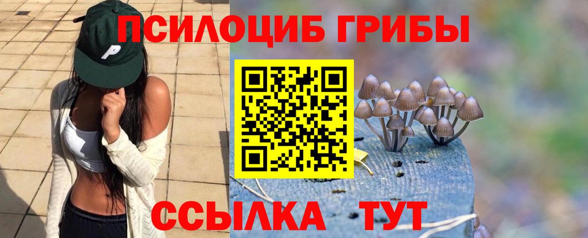 Аксай  Галлюциногенные грибы Cubensis  Вход с VPN  Псилоцибиновые грибы прущие грибы 
