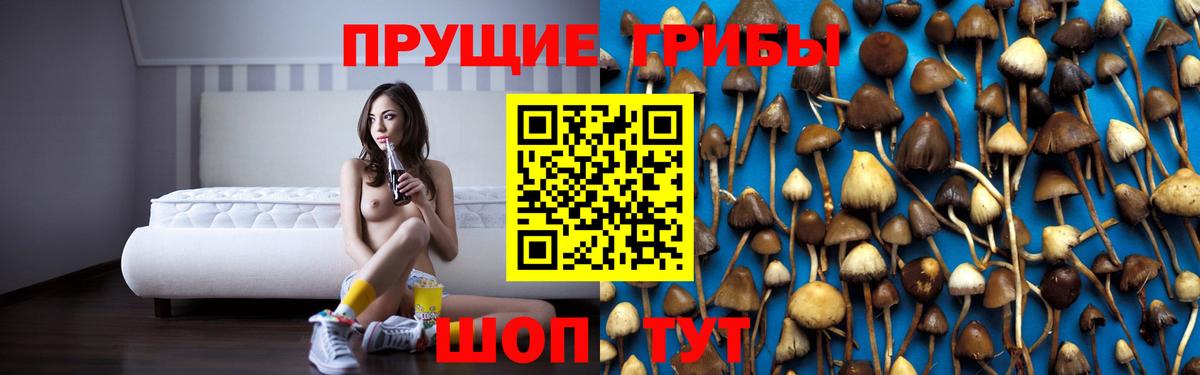 Псилоцибиновые грибы Cubensis Аксай